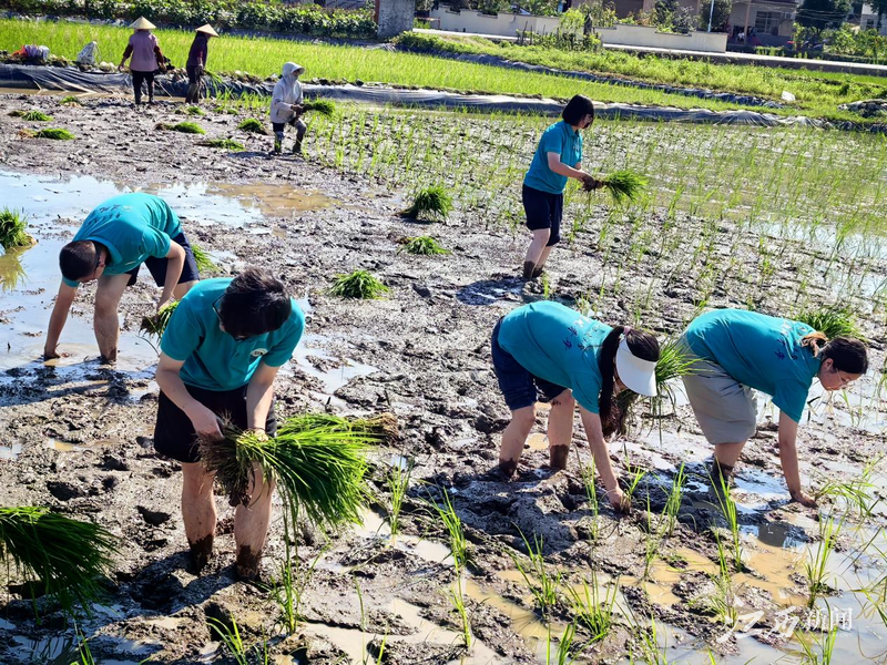華東交通大學“追風青年”實踐隊開展暑期“三下鄉”社會實踐活動